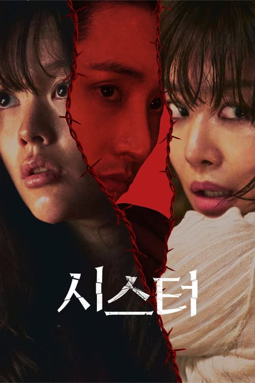 시스터 afişi