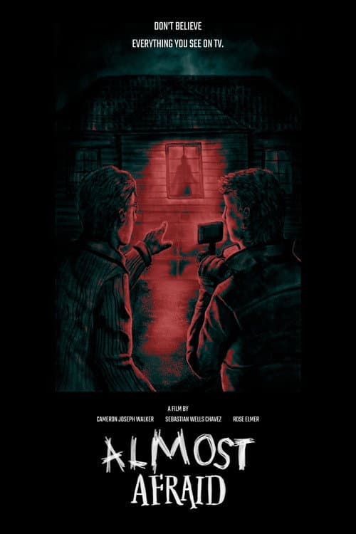 Almost Afraid afişi
