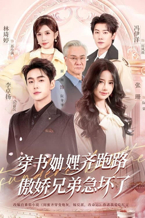 穿书妯娌齐跑路，傲娇兄弟急坏了 afişi