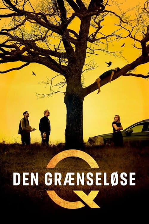 Den grænseløse afişi