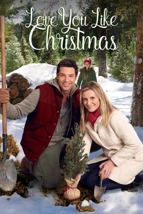 Love You Like Christmas afişi
