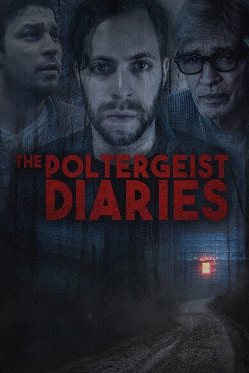 The Poltergeist Diaries afişi