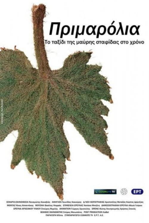 Πριμαρόλια afişi