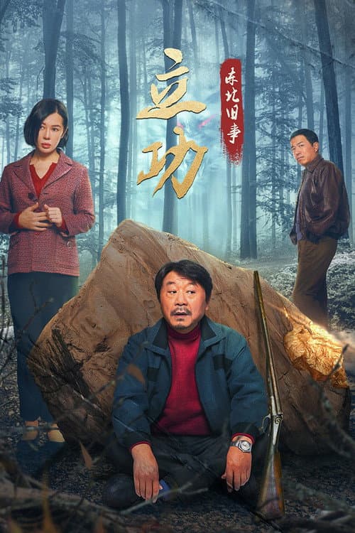 立功·东北旧事 afişi