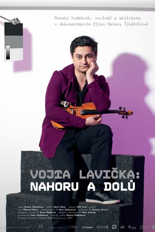 Vojta Lavička: Nahoru a dolů afişi