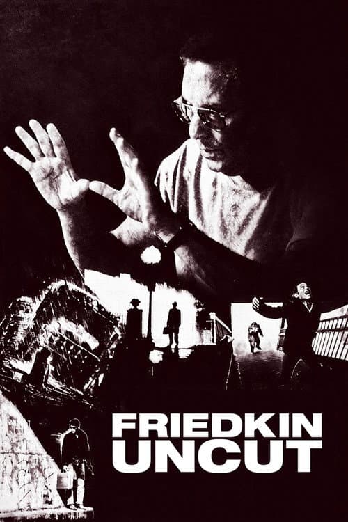 Friedkin Uncut afişi