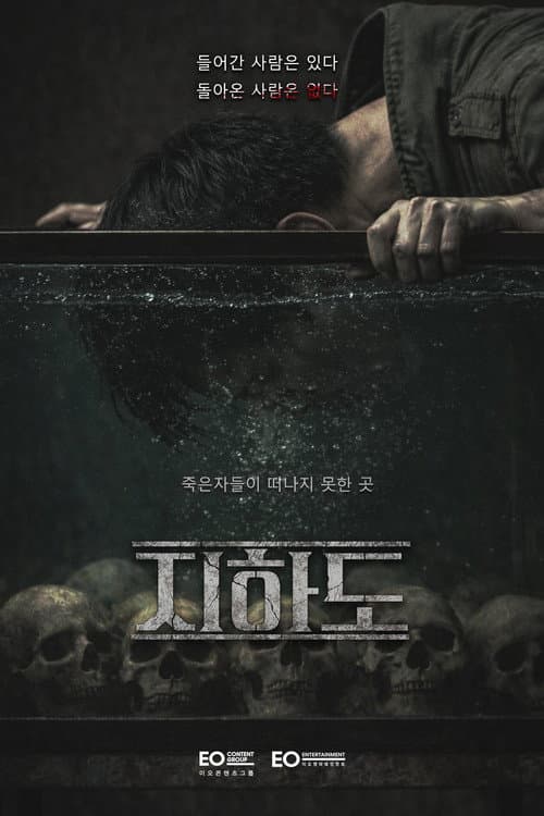 지하도 afişi