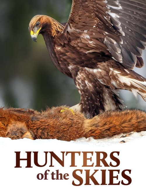 Hunters of the Skies afişi