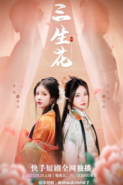 三生花 afişi
