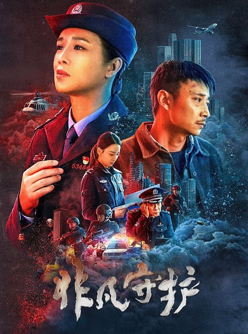 非凡守护 afişi