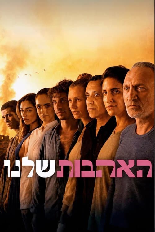 האהבות שלנו afişi