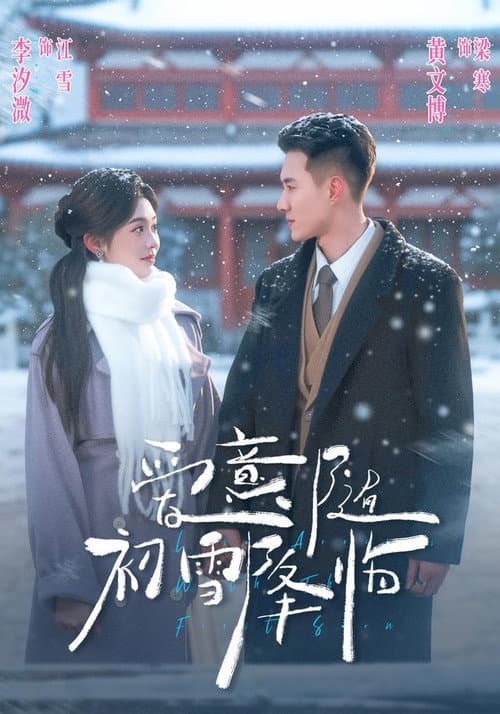 爱意随初雪降临 afişi