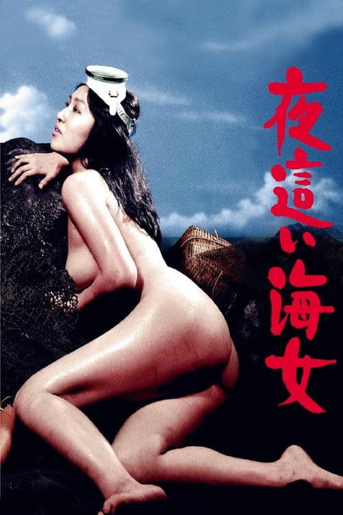 夜這い海女 afişi
