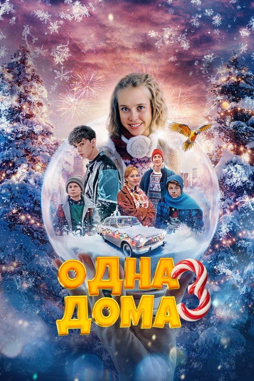 Одна дома 3 afişi