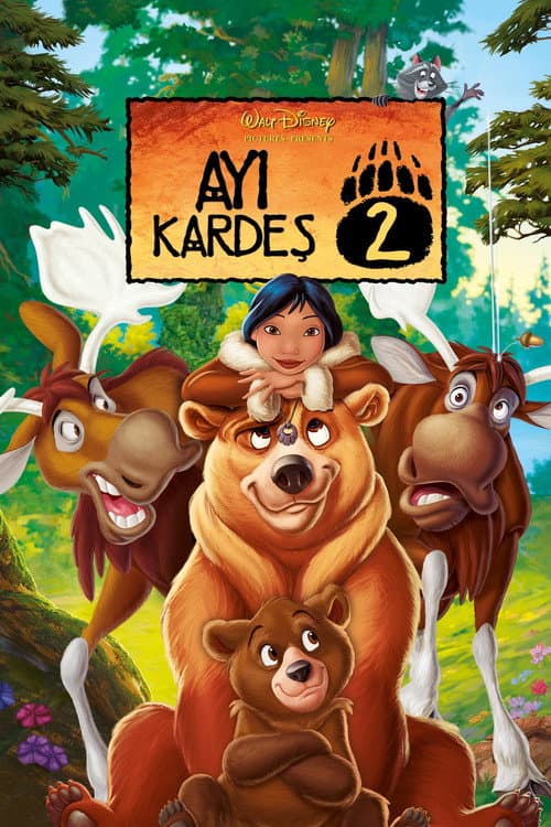 Ayı Kardeş 2 afişi
