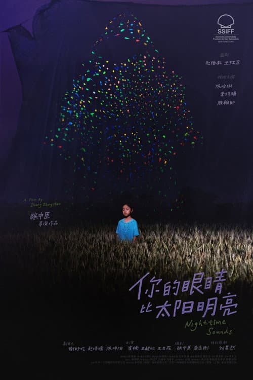 你的眼睛比太阳明亮 afişi