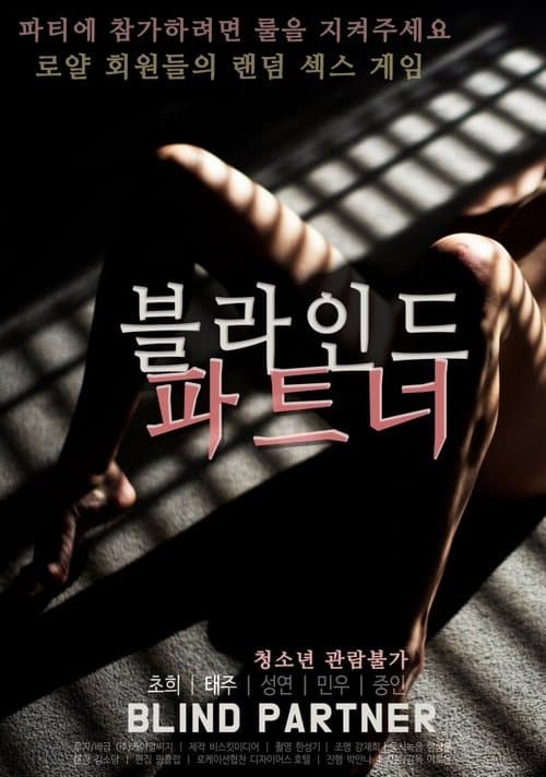 블라인드 파트너 afişi