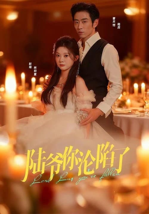 陆爷你沦陷了 afişi