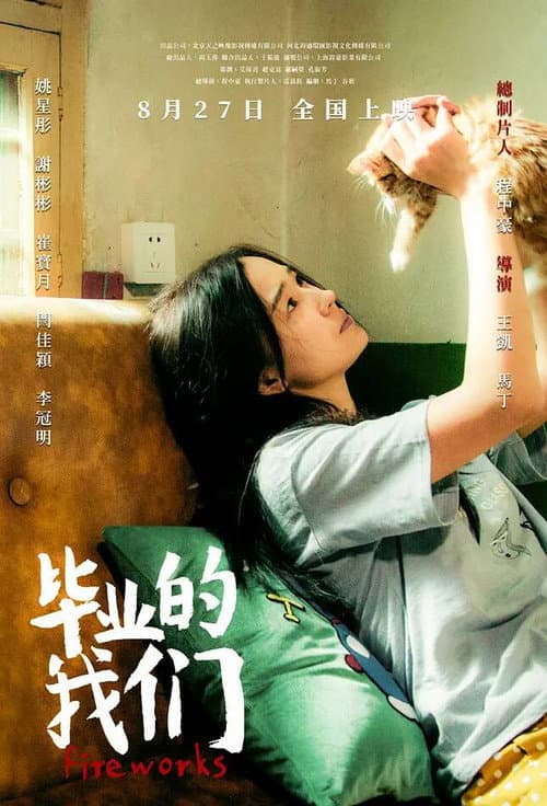 毕业的我们 afişi