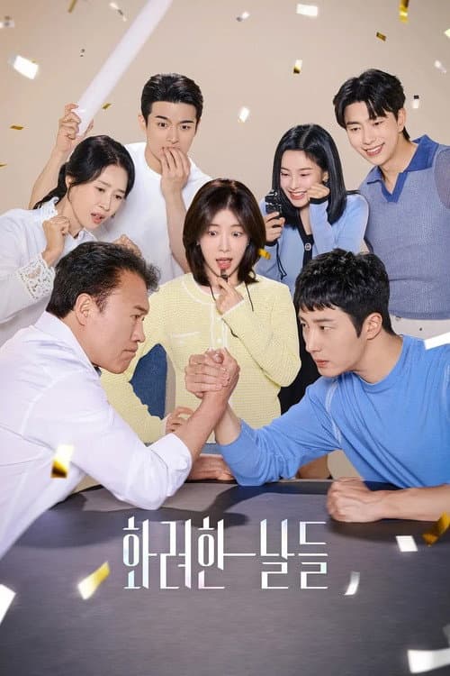 화려한 날들 afişi