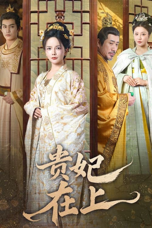 贵妃在上 afişi