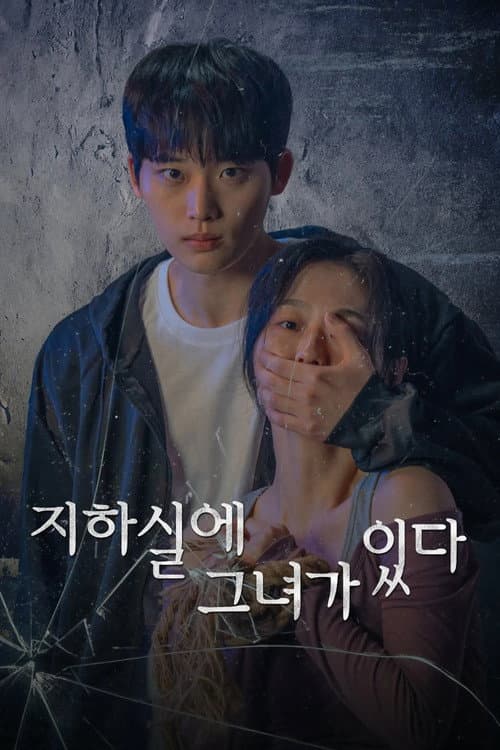지하실에 그녀가 있다 afişi
