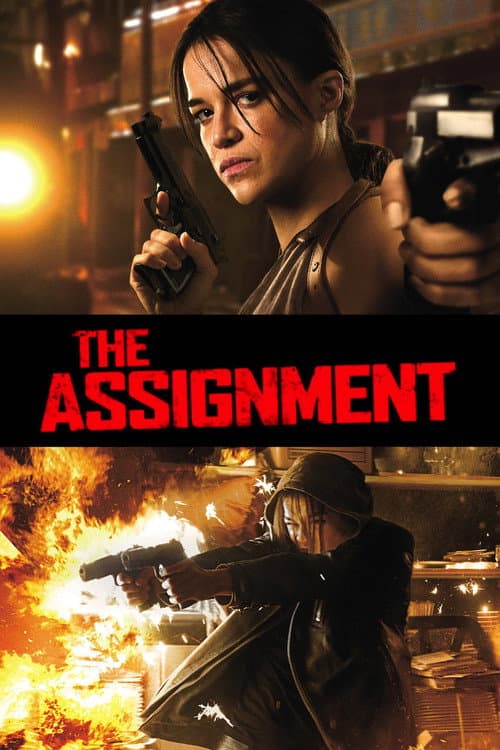 The Assignment afişi