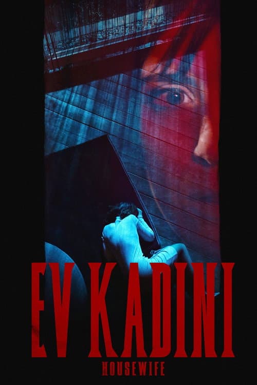 Ev Kadını afişi