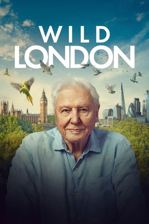 Wild London afişi