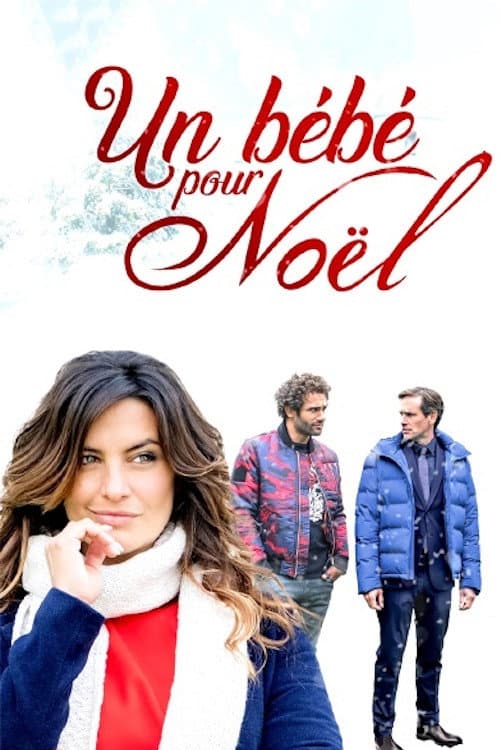 Un bébé pour Noël afişi