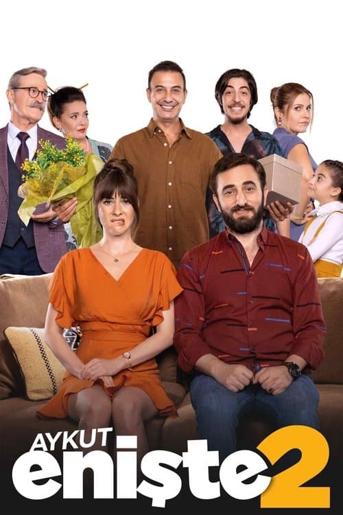 Aykut Enişte 2 afişi