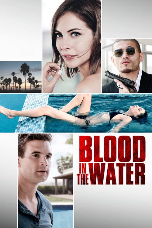 Blood in the Water afişi