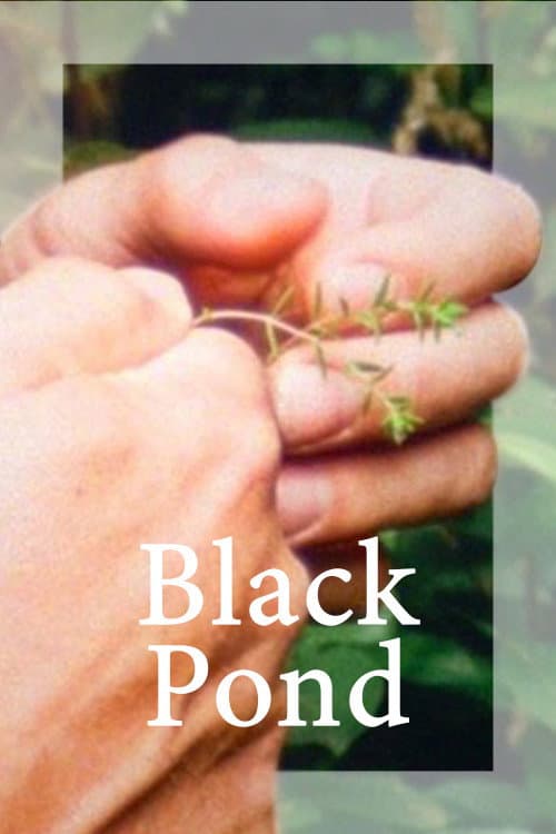 Black Pond afişi