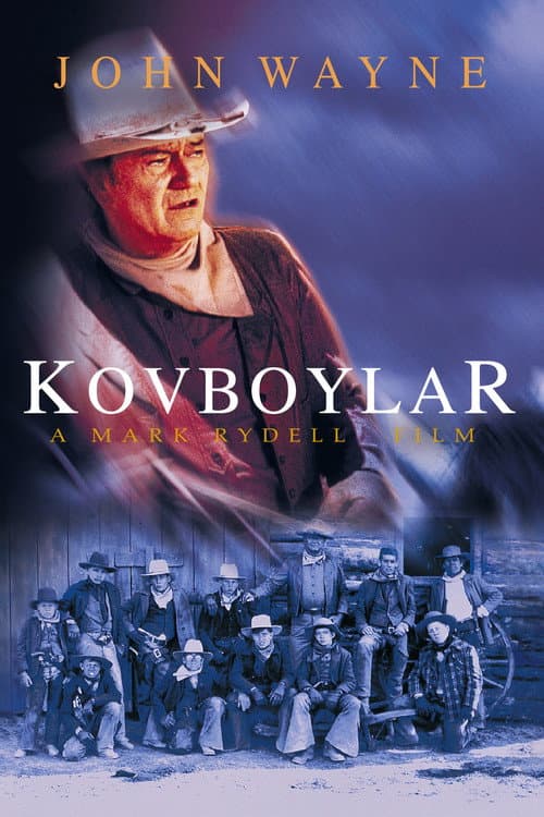 Kovboylar afişi