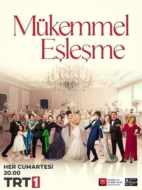 Mükemmel Eşleşme afişi
