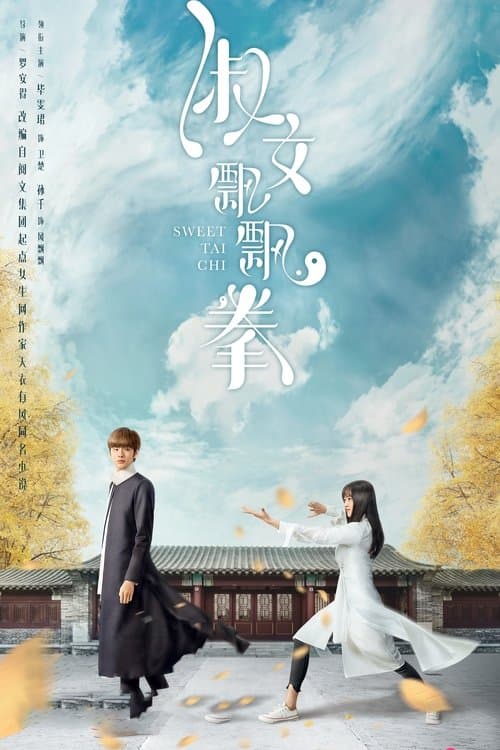 淑女飘飘拳 afişi