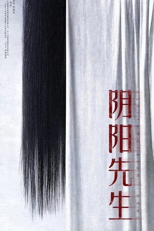 阴阳先生 afişi