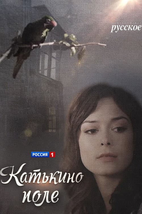 Катькино поле afişi