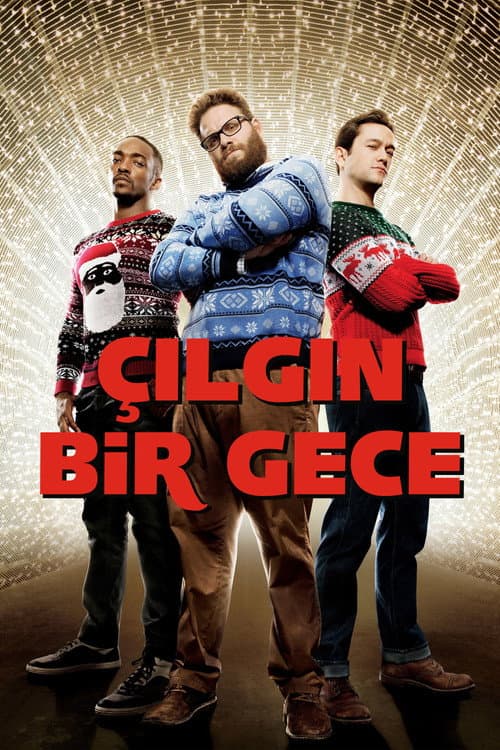 Çılgın Bir Gece afişi