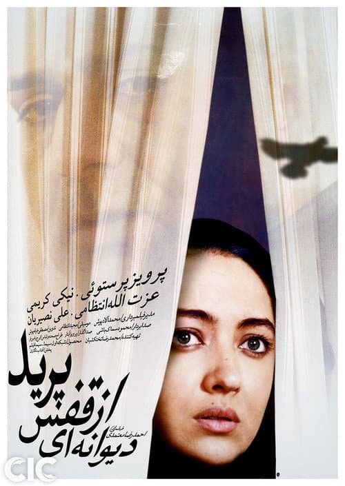 دیوانه‌ای از قفس پرید afişi