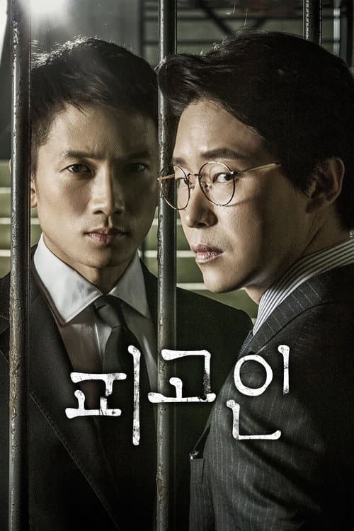 피고인 afişi