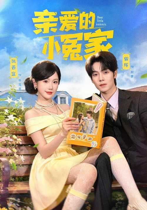 亲爱的小冤家 afişi
