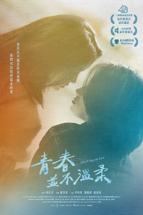 青春並不溫柔 afişi