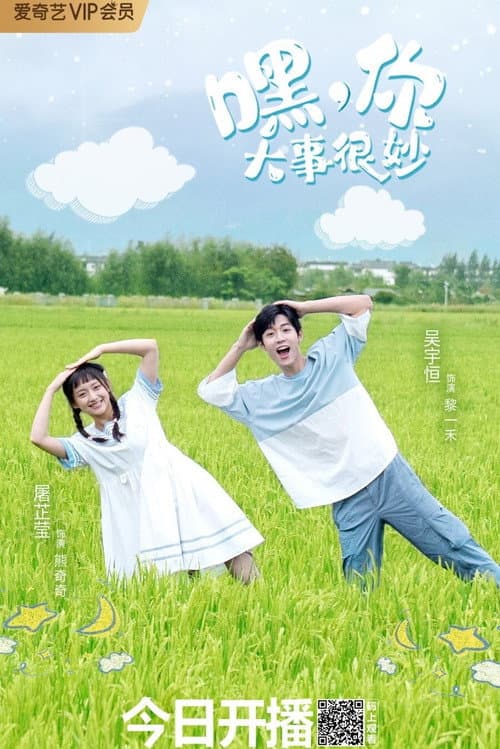 嘿，你大事很妙 afişi