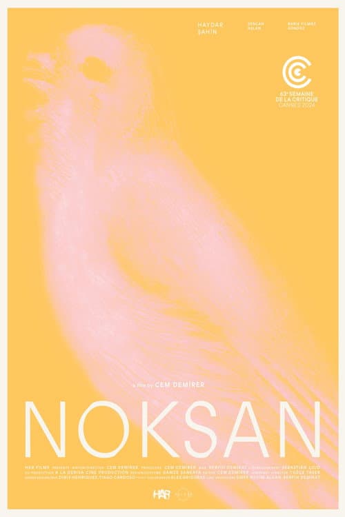 Noksan afişi