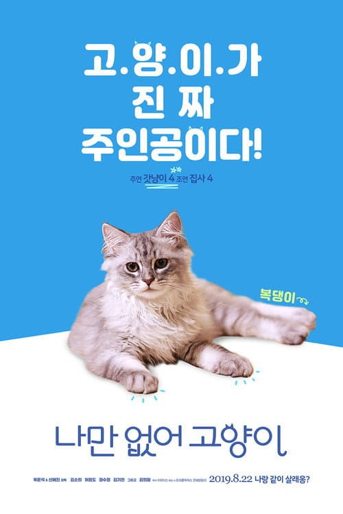 나만 없어 고양이 afişi