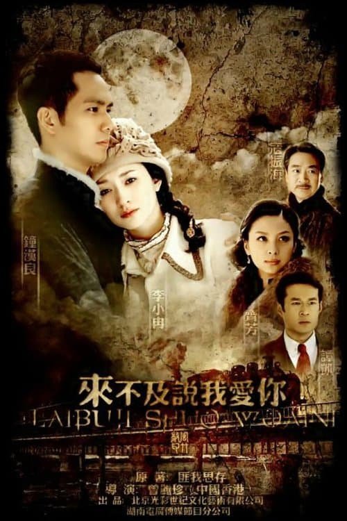 来不及说我爱你 afişi