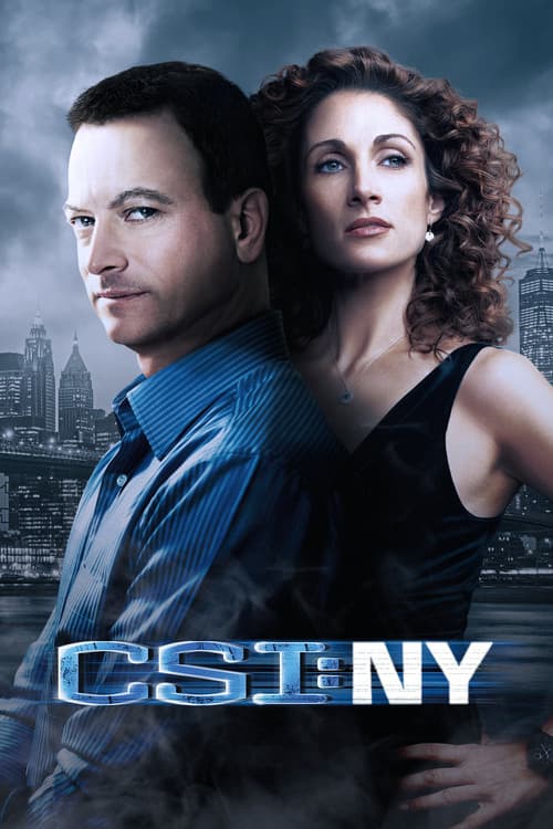 CSI: NY afişi