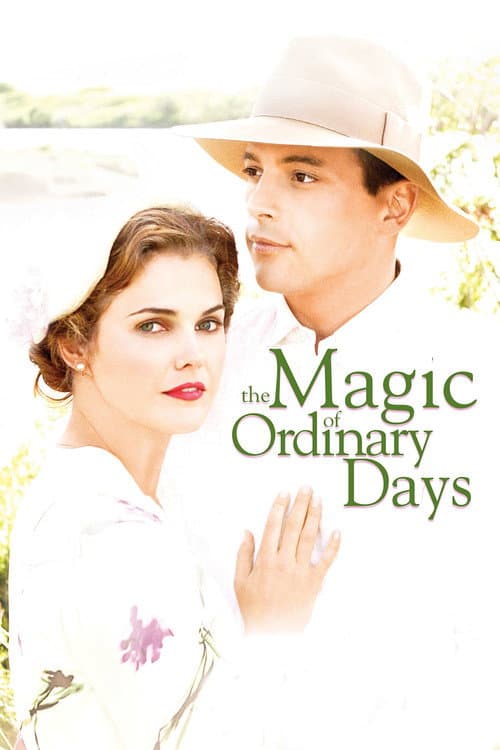 The Magic of Ordinary Days afişi