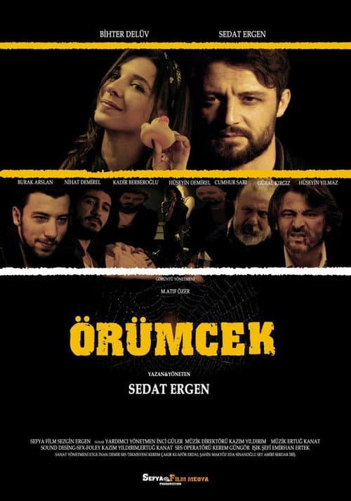 Örümcek afişi